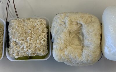 Forschungsprojekt: Umweltfreundliche Bauteile aus biobasierten Kunststoffschäumen