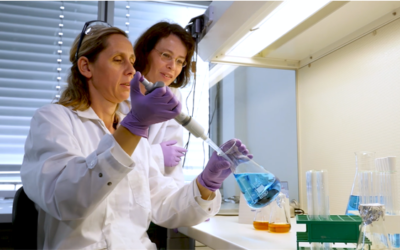 Evonik übernimmt Biotech-Unternehmen JeNaCell