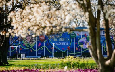 Der überwiegende Teil bleibt dauerhaft erhalten