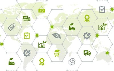 So kann die Wirtschaft von der Transformation profitieren