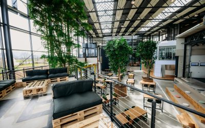 Bürogestaltung: Wie können die Raumkonzepte der Zukunft aussehen?