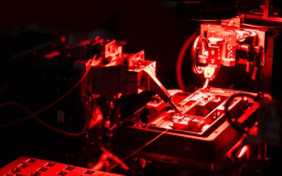 Mitgestalter und Pioniere der zweiten Quantenrevolution