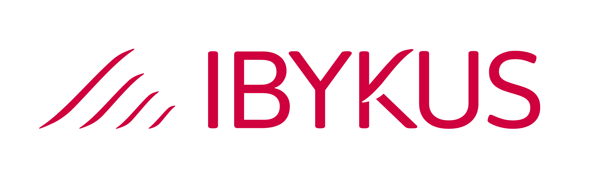 2023 IBYKUS Logo